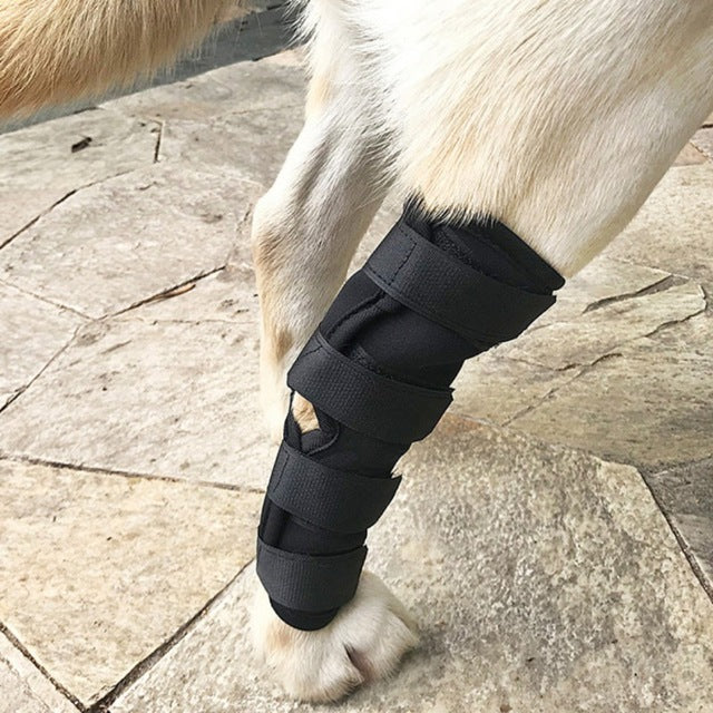 Dogs Injured Leg Protector Legguards Bandages
