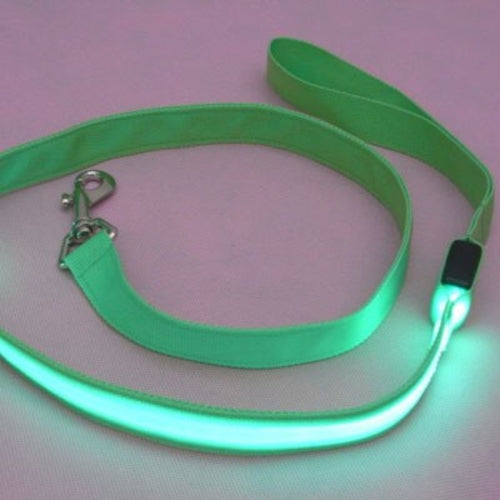 LED Lights Pet Hands For Leash Large accessories