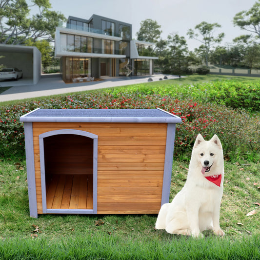 Dog House Outdoor & Indoor Wooden